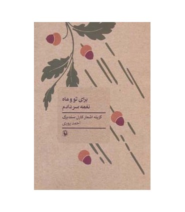کتاب برای تو و ماه نغمه سر دادم گزینه اشعار کارل سند برگ