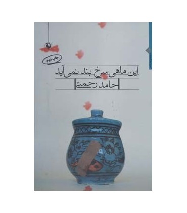 کتاب این ماهی سرخ بند نمی آید