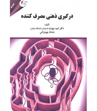 کتاب درگیری ذهن مصرف کننده