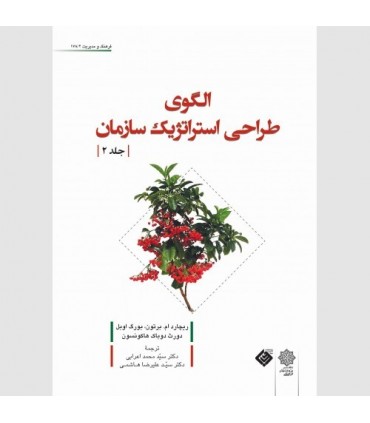 کتاب الگوی طراحی استراتژیک سازمان جلد 2