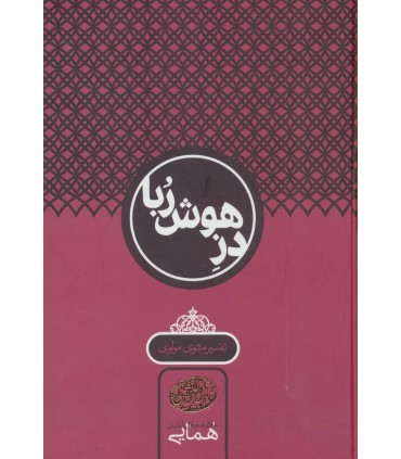 کتاب دز هوش ربا تفسیر مثنوی مولوی