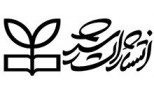 رشد